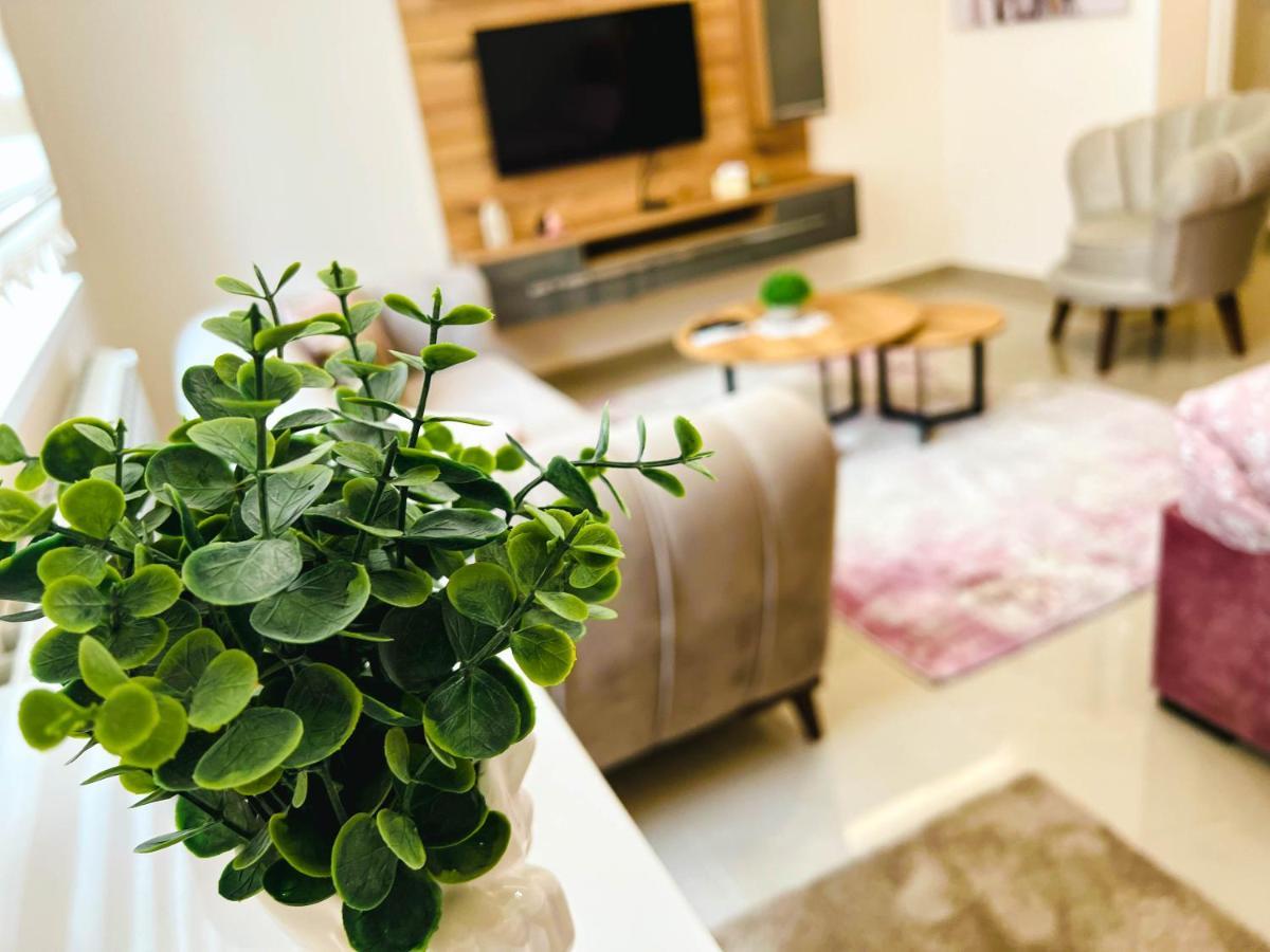 Old Town Luxury Suites Belgrád Kültér fotó